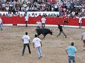 A Ponte 12_71